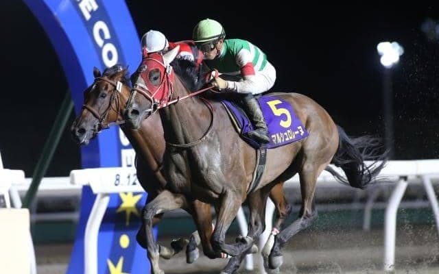 【ブリーダーズGC回顧】ペース展開不問の強さでマルシュロレーヌ/斎藤修