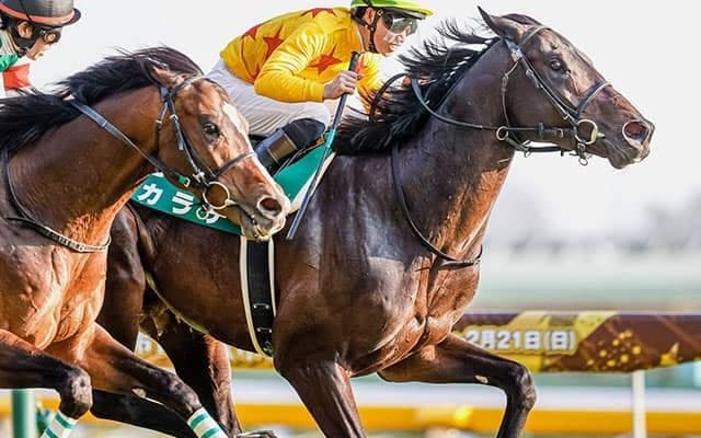 【関屋記念】カラテ重賞2勝目なるか　菅原明良騎手との“相棒”コンビで巻き返しを狙う