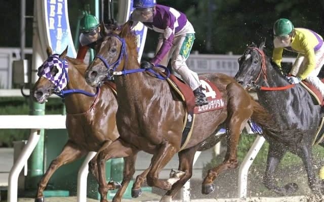 【園田・摂津盃結果】エイシンデジタルが追い込み決め重賞初制覇