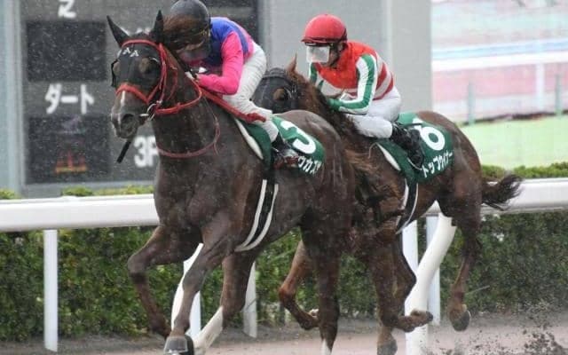 【本日の注目ポイント】新潟・小倉・札幌の3場開催　藤田晋氏所有馬デビューなど