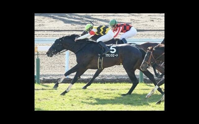 小倉記念は格下の軽ハンデ馬に注目。過去の好走データに通じる２頭がオススメ