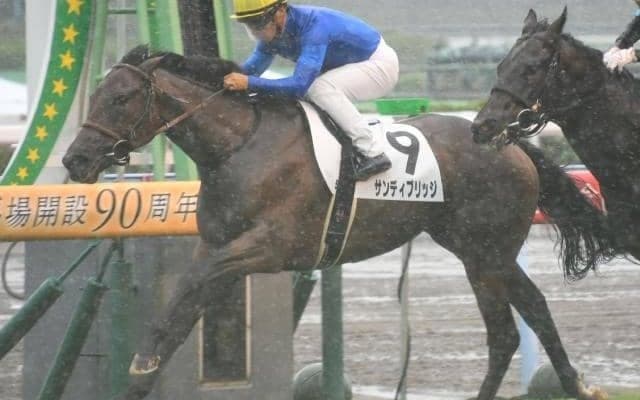 【小倉5R新馬戦結果】サンディブリッジが差し返してデビュー勝ち