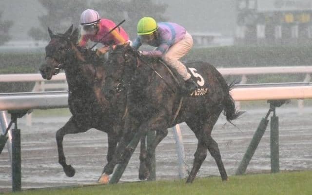 【フェニックス賞結果】ナムラクレアが押し切りV サイバー藤田氏所有のデュガは3着
