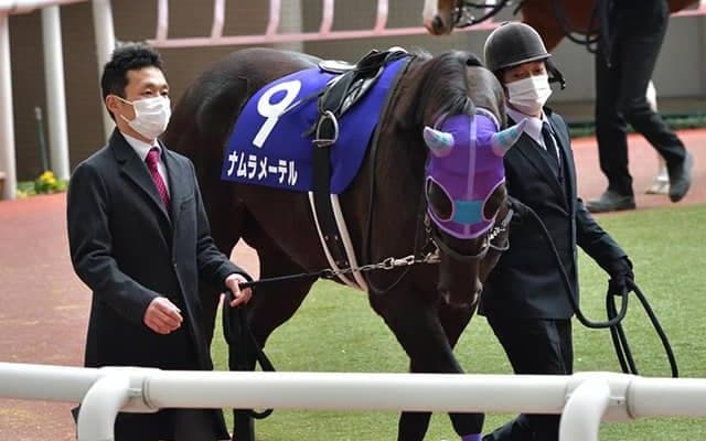 小倉12Rで競走中止のナムラメーテルは予後不良、幸英明騎手は異状なし