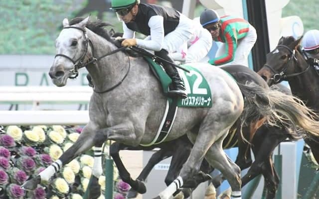 【関屋記念予想】応援馬券なんかじゃなく本気で狙う劇的復活ショー AIの激走注目馬はクロフネ産駒最後の砦/JRA重賞レース展望