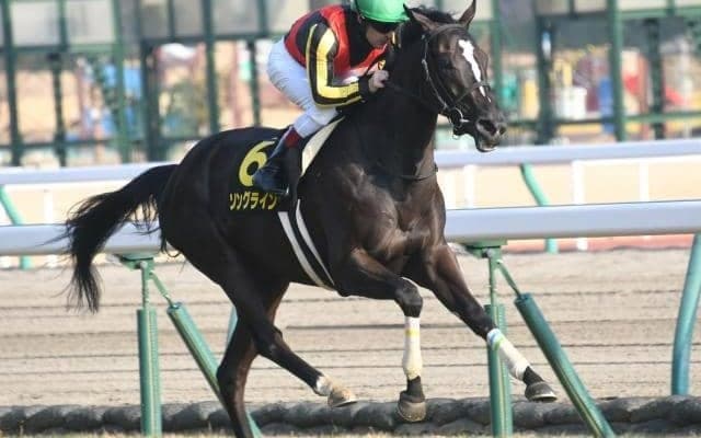 【本日の注目ポイント】新潟で関屋記念、小倉で小倉記念