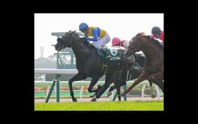 競馬界をけん引する馬主と調教師の「初タッグ」で注目のサトノヘリオスがいよいよ初陣へ