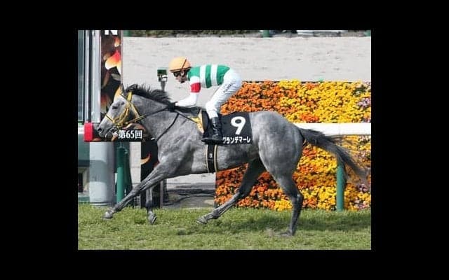 関屋記念は好位で運べる伏兵に要注意。穴党記者が読み切った激走候補２頭