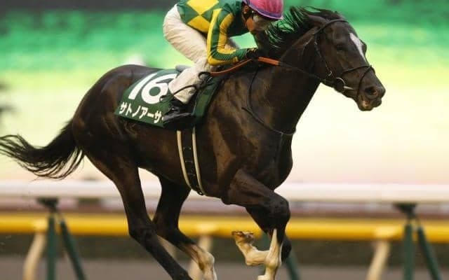 【関屋記念予想】人気サイドと中穴押さえで馬券を組め！