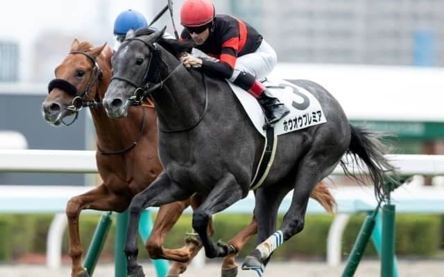 【札幌5R新馬戦結果】高額馬ホウオウプレミアが競り合いから抜け出す