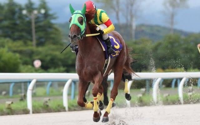 【金沢・サラブレッド大賞典結果】ベニスビーチが断然の人気に応えて重賞初勝利