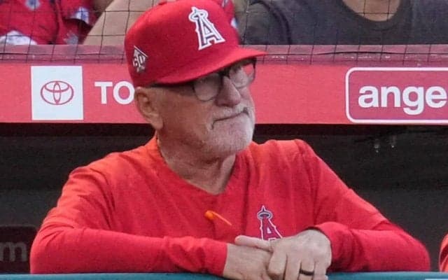 【MLB】エンゼルスは「D」、ヤンキースは「C」　昨年オフの補強の成否を米メディア検証