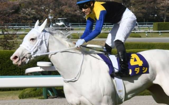 白毛の桜花賞馬ソダシ参戦！　GII札幌記念に注目/今週の競馬界の見どころ