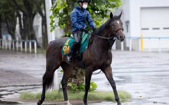 母はJRA3勝ハリウッドフェームがC.ルメール騎手でデビュー/関東馬メイクデビュー情報