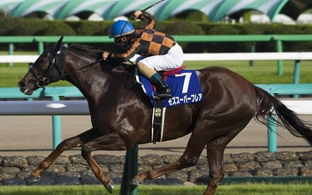 【北九州記念ハンデ確定】モズスーパーフレアは56.5kg、ジャンダルムは57.5kg