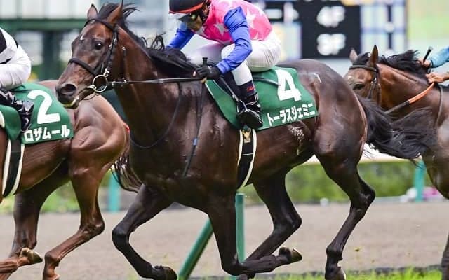 【札幌記念予想】ソダシでもラヴズオンリーユーでもない！ 主役は前走本格化を証明した先行人気薄/JRA重賞レース展望
