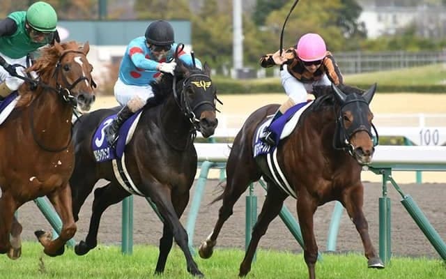 【北九州記念想定騎手】モズスーパーフレアは松若風馬騎手、アウィルアウェイは松山弘平騎手