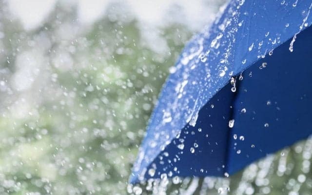 世界初！「ゲリラ豪雨」が察知可能に。東京2020イノベーションに注目