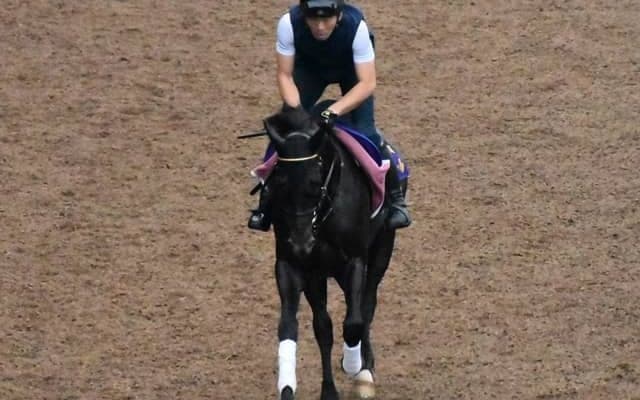 シャフリヤールなど、先週の入厩情報/栗東トレセンニュース