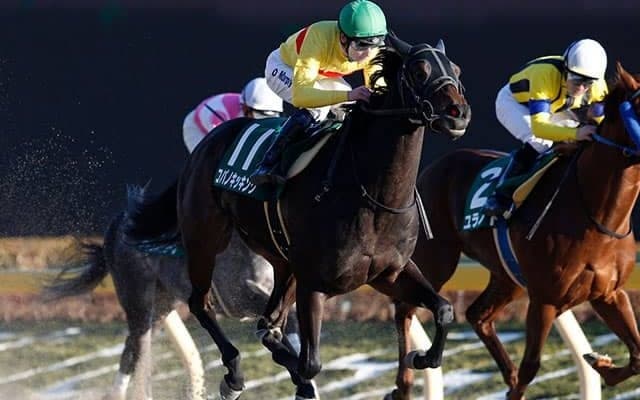 【佐賀・サマーチャンピオン】コパノキッキング、サクセスエナジー、ヒロシゲゴールドなどJRA選定馬が発表