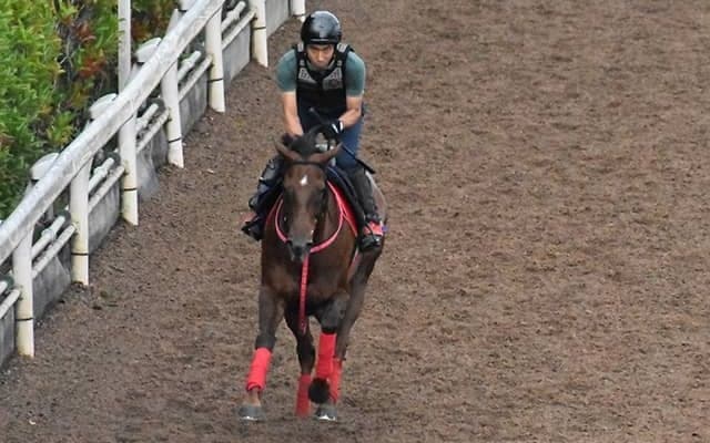 【北九州記念予想オッズ】モズスーパーフレアを中心に上位人気は混戦模様