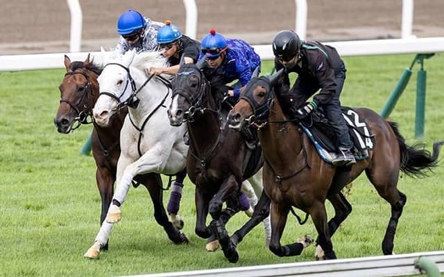 【札幌記念予想オッズ】ラヴズオンリーユーとソダシが人気を二分