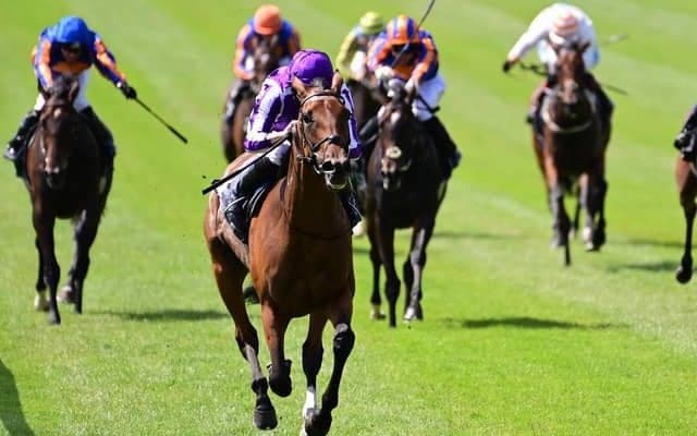 【英・ヨークシャーオークス】ディープ娘スノーフォールは3番枠、4連勝中ワンダフルトゥナイトは2番枠