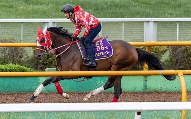 【札幌記念】本格化したラヴズオンリーユー　始動戦を制し成熟の秋へ