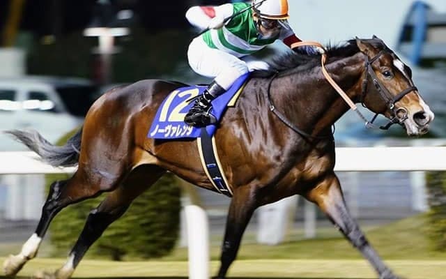【JRA】ノーヴァレンダが川崎移籍へ、2018年の全日本2歳優駿覇者