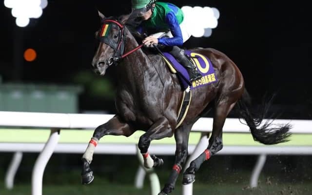 【大井・黒潮盃結果】船橋のジョエルが5馬身差圧勝で重賞2勝目