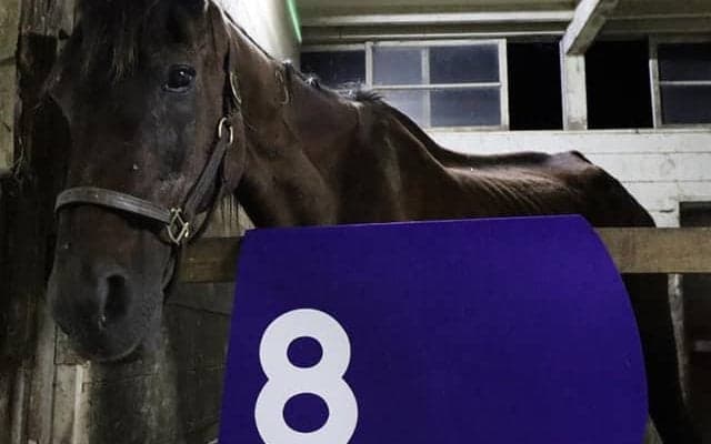 ジャパンC覇者レガシーワールドが死亡、32歳　日本調教馬初のセン馬のGIウイナー