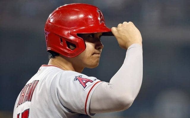 大谷翔平の故郷には「最も熱心なファンがいる」　岩手・奥州市の取り組みをMLBが特集