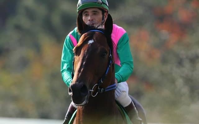 トーシンブリザードが死亡、23歳　2001年に無敗で南関東四冠を達成