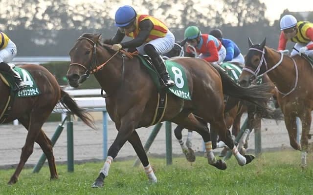 【北九州記念】出走馬・騎手確定 アウィルアウェイ＆松山弘平騎手、モズスーパーフレア＆松若風馬騎手など18頭