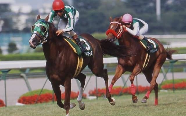 タイキポーラとノボキッスが引退馬協会の受け入れ馬に　ナイスネイチャ・33歳のバースデードネーションで