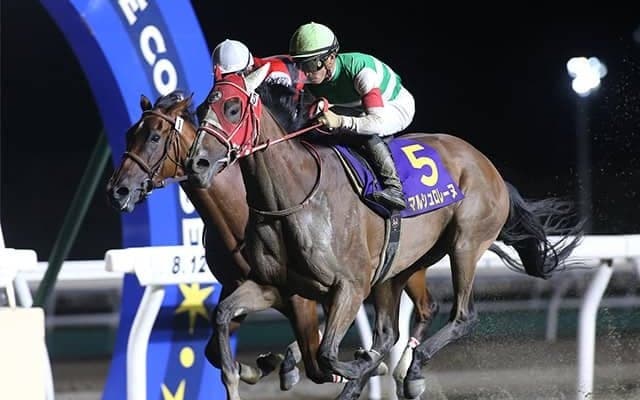 人気にも著しい偏り…改めて痛感した地元勢と中央勢との力量差