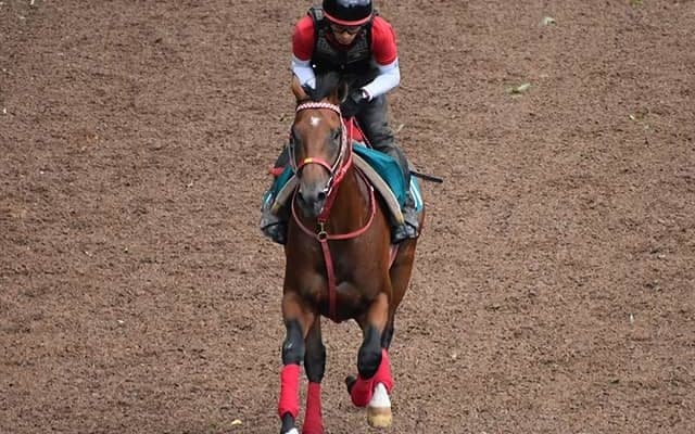 藤田晋オーナーが改めて“Make debut” 武豊騎手鞍上で新馬2頭が初陣
