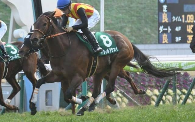 【北九州記念枠順確定】アウィルアウェイは6枠11番、モズスーパーフレアは6枠12番