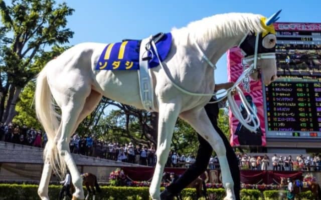 【札幌記念予想】ソダシ＆ラヴズオンリーユー　人気の牝馬2頭は前走敗戦・遠征帰りによる心配なし