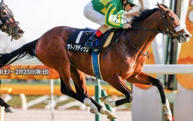 【本日の注目ポイント】新潟メイン・日本海Sなど　小倉では藤田晋氏所有馬がデビュー