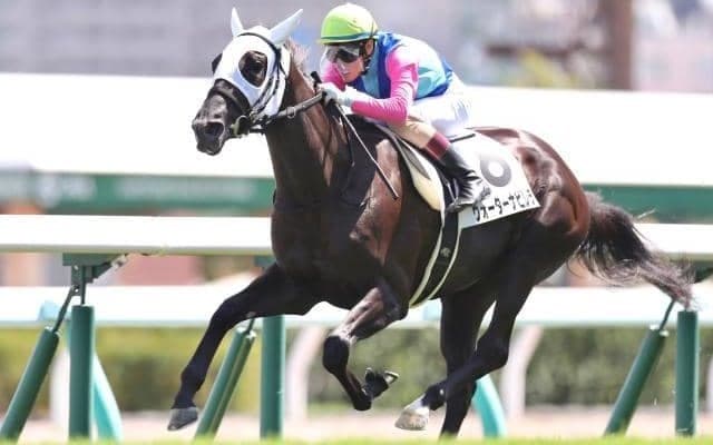 【札幌5R新馬戦結果】シルバーステート産駒ウォーターナビレラが逃げ切りV