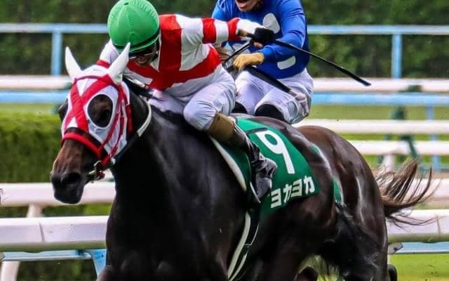 【北九州記念】過去10年間で1番人気馬の勝利はない波乱傾向のレース