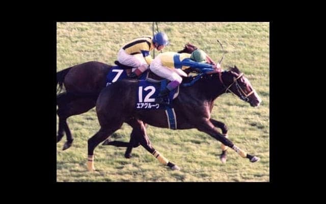 日本屈指の良血一族出身のソネットフレーズ。「絶対能力はある」と騎手が太鼓判