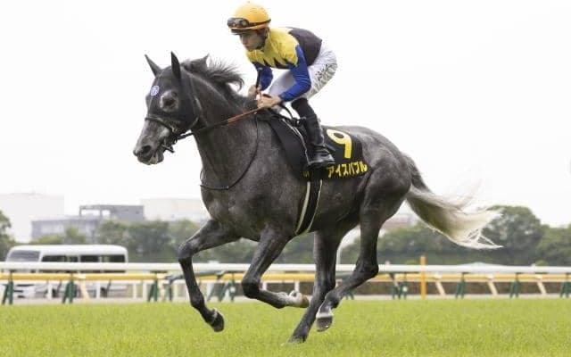 【札幌記念予想】アタマ狙いなら絶好なのは2-6番人気？人気薄を入れるならば前走函館記念組でいけ！