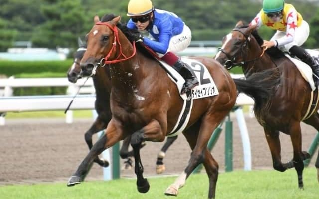 【小倉5R新馬戦結果】7番人気タイセイブリリオが押し切りデビュー勝ち