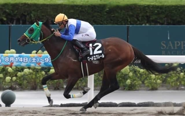【JRA・WIN5】本日のWIN5は的中42票、配当1248万7510円