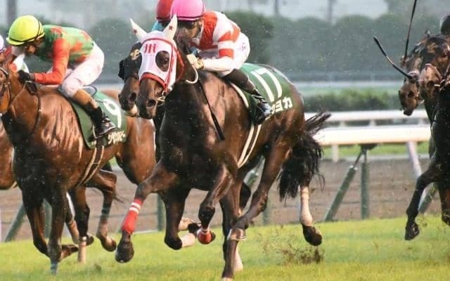 【北九州記念結果】ヨカヨカが熊本産馬初のJRA重賞制覇！