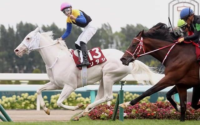 【札幌記念】ソダシの金子真人オーナーはJRA重賞100勝達成