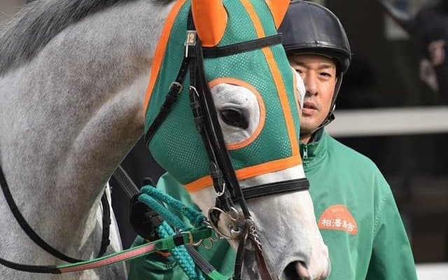 【JRA】カイザースクルーンが予後不良に、2018年の芙蓉S3着馬