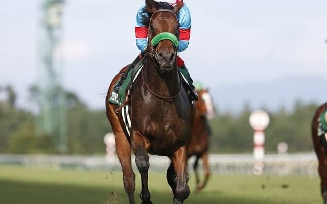 【JRA】大竹正博調教師の調教停止期間が満了、手塚貴久厩舎から管理馬が再転厩